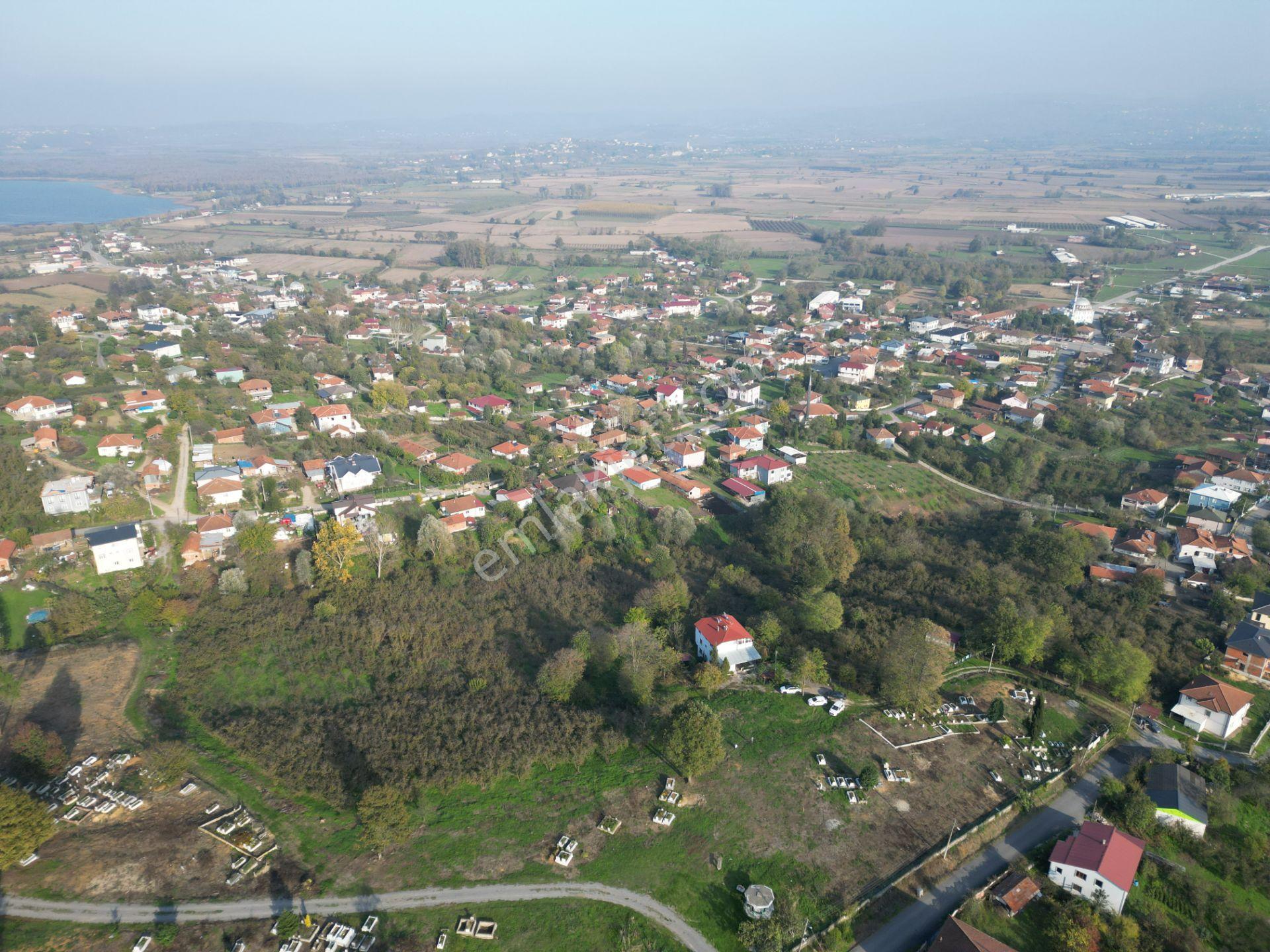 Gölkent Merkezde 6.817 M² Konut İmarlı Arsa + Fındık Bahçesi - Görsel 26