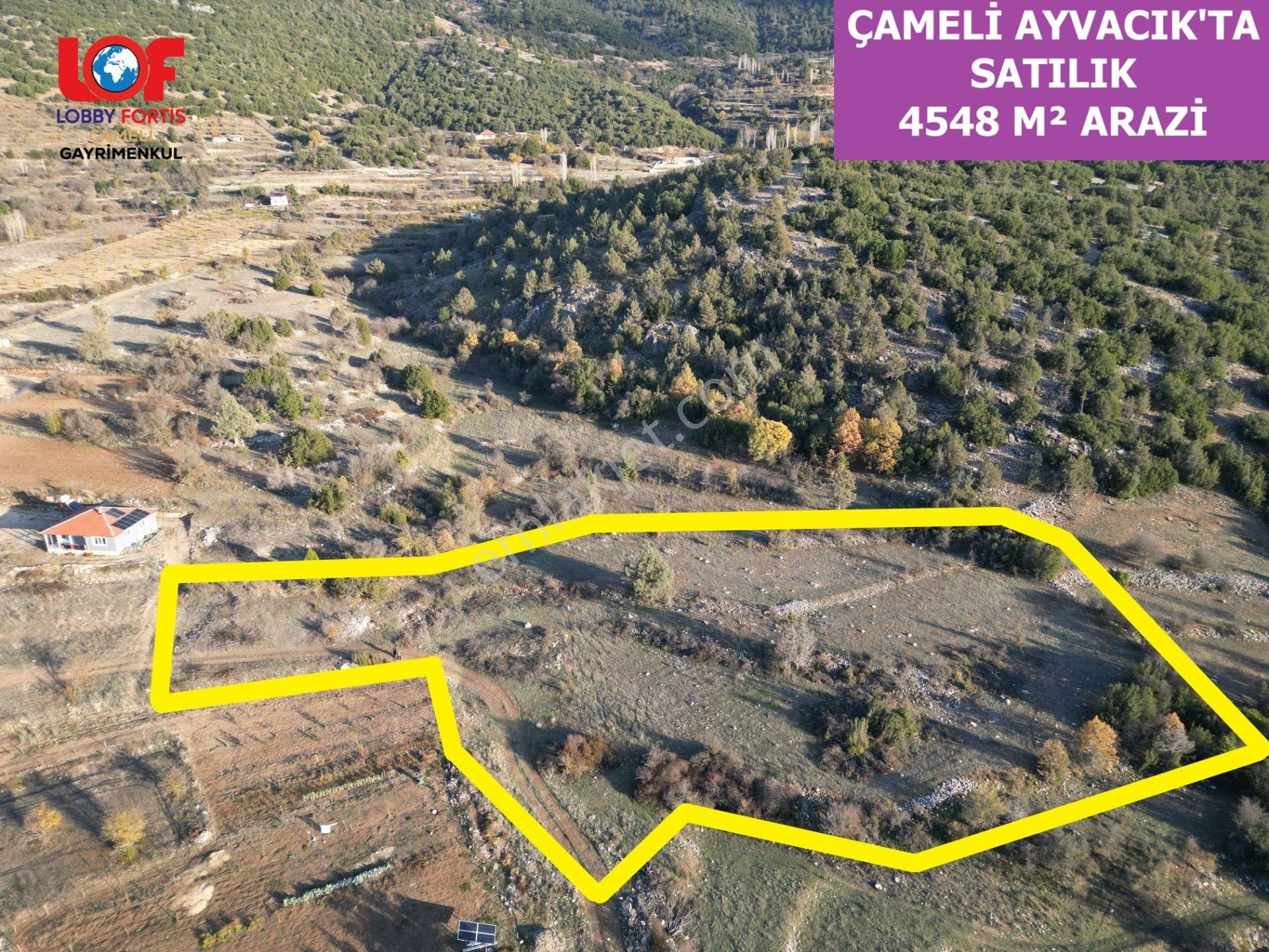 🦋lobby Fortis'ten Satılık Çameli Ayvacık'ta Satılık 4548 M² Tarla🦋