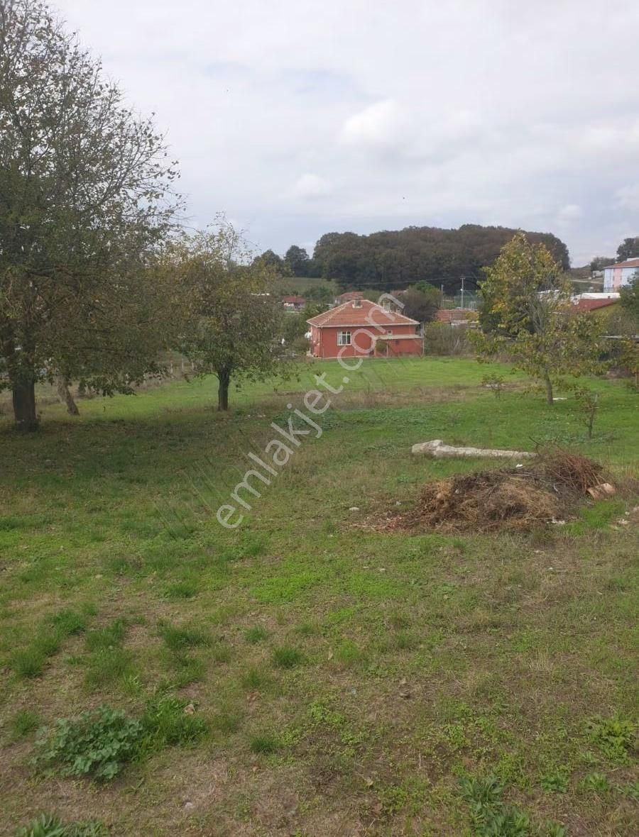 Silivri Sayalar İmarlı İfrazli 842 M Tek Tapu Arsa - Görsel 10