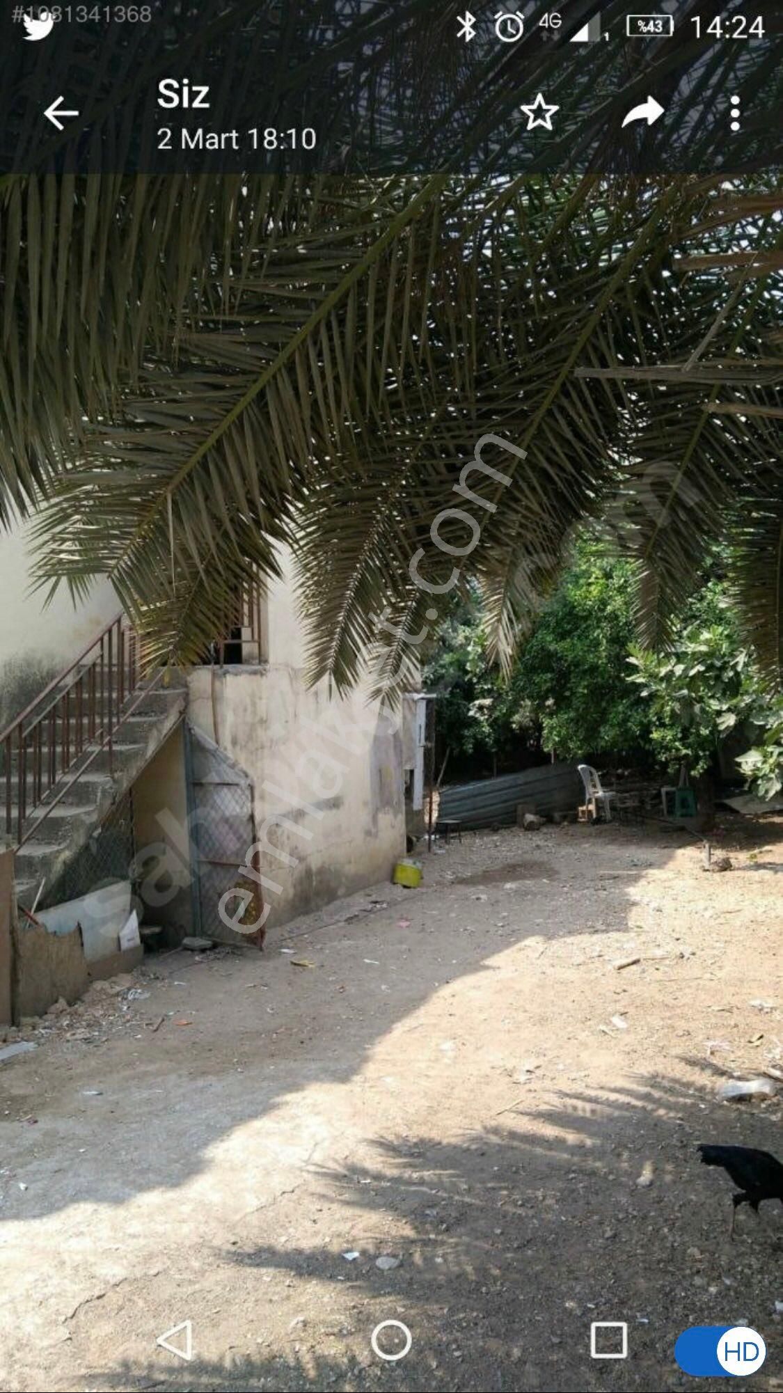 Yalınayak Arpaçsakarlar Yoluna Sıfır