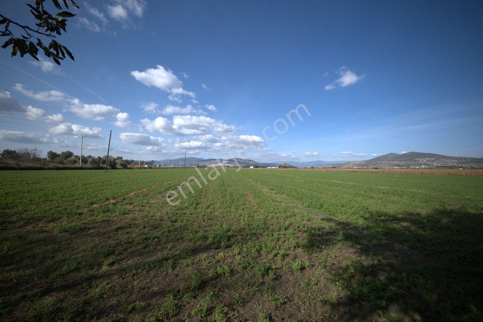 Bodrum Mılas Karayoluna Çok Yakın Kadastral Yolu Olan Yatırımlık Tarla - Görsel 18