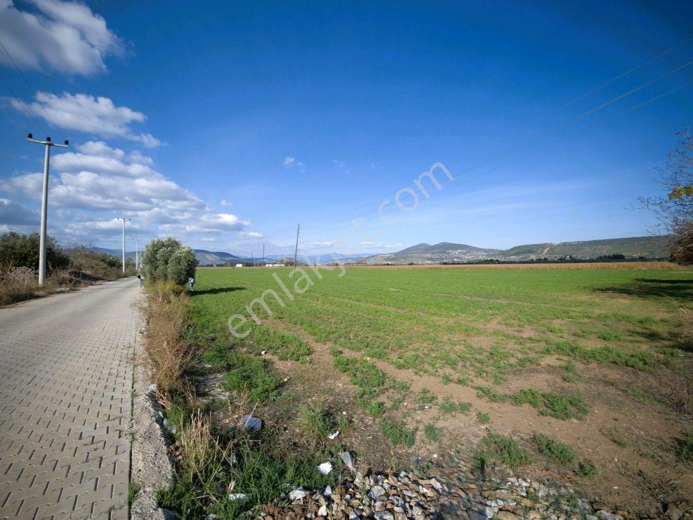 Bodrum Mılas Karayoluna Çok Yakın Kadastral Yolu Olan Yatırımlık Tarla - Görsel 8
