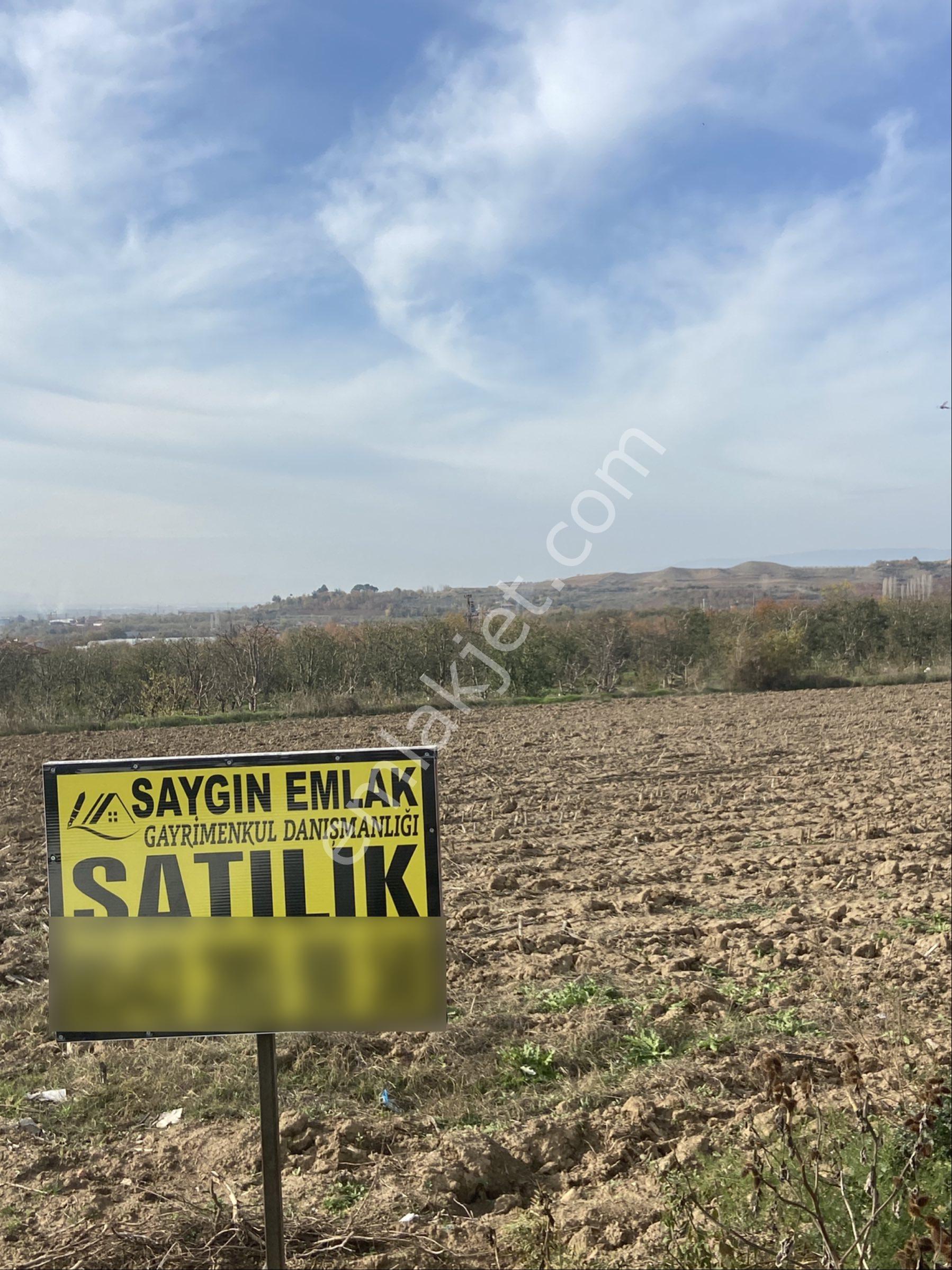 Amasya Merkez Duruca Satılık Tarla 11,611 Mk