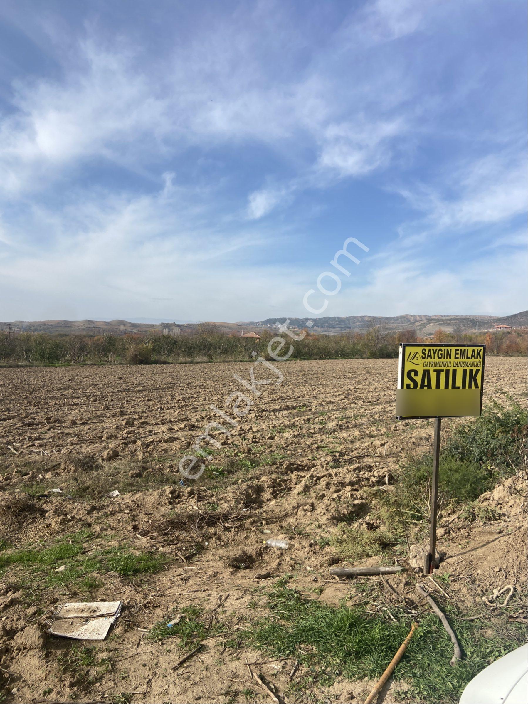 Amasya Merkez Duruca Satılık Tarla 11,611 Mk - Görsel 4