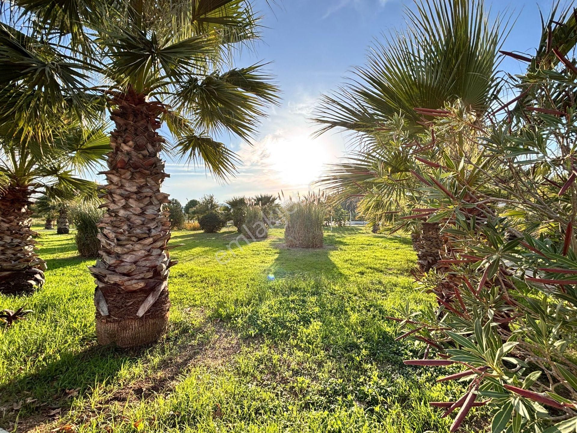 Urla Kuşçular Huzur Ve Aidiyet - Görsel 5