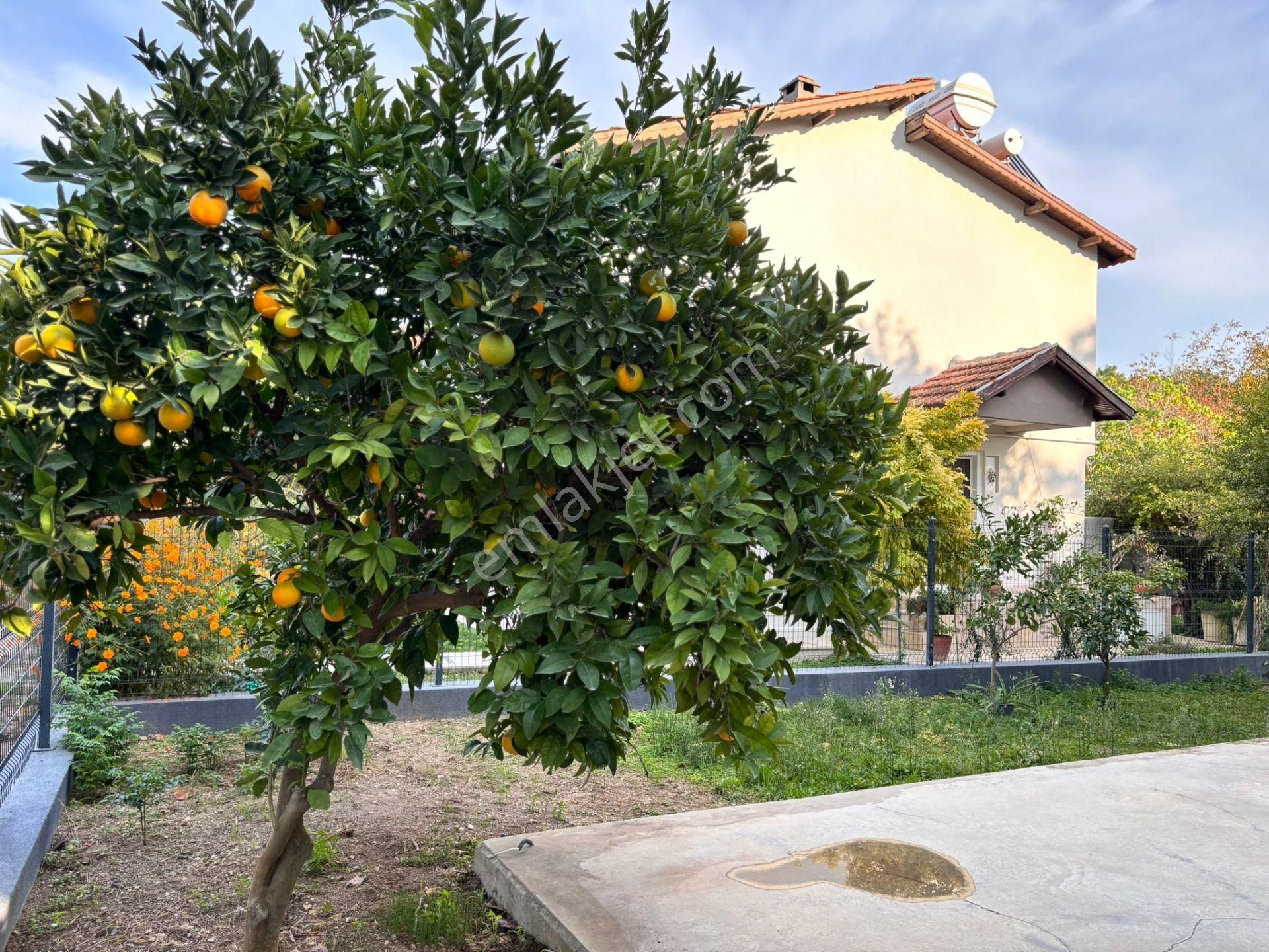 Urla Kuşçular Huzur Ve Aidiyet - Görsel 6