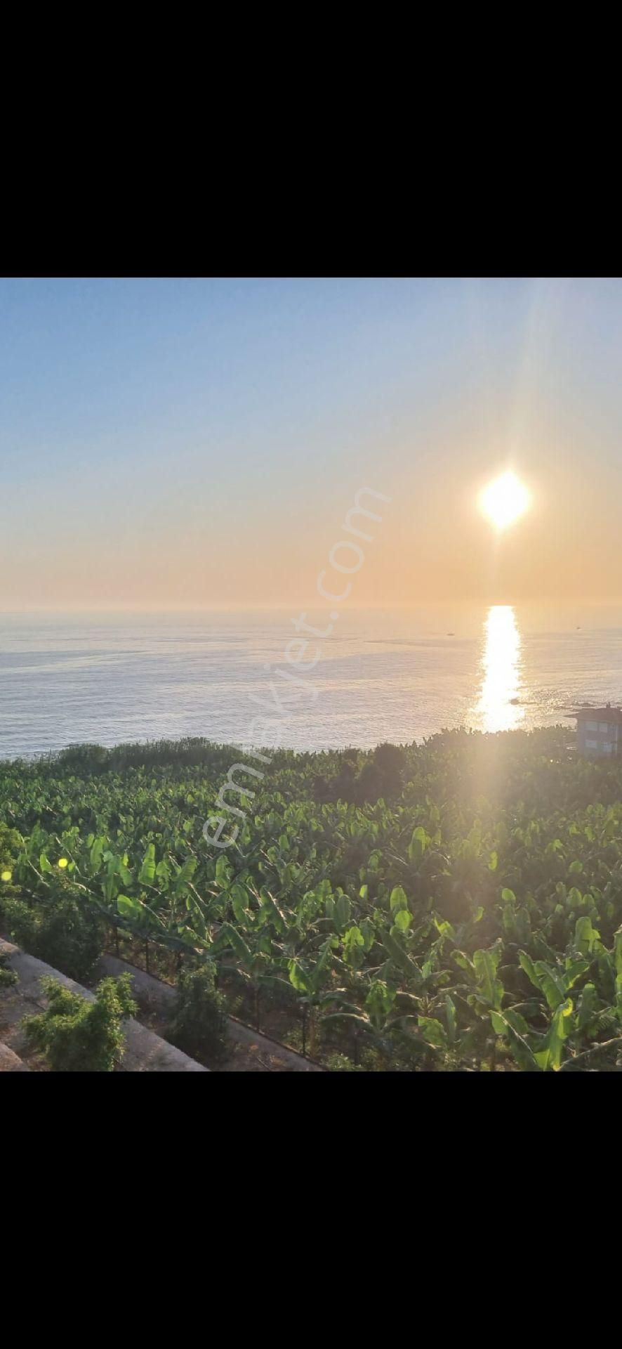 Kargıcak Ta Muhteşem Manzaralı Boş Kiralık 1+1daire - Görsel 8