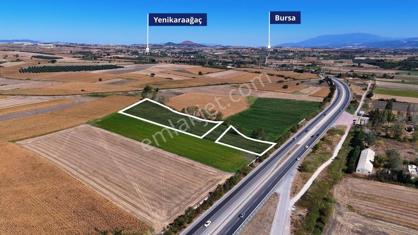 Cb Black'tan Karacabey Eskikaraağaç'ta Yola Cephe Tarlalar - Görsel 5