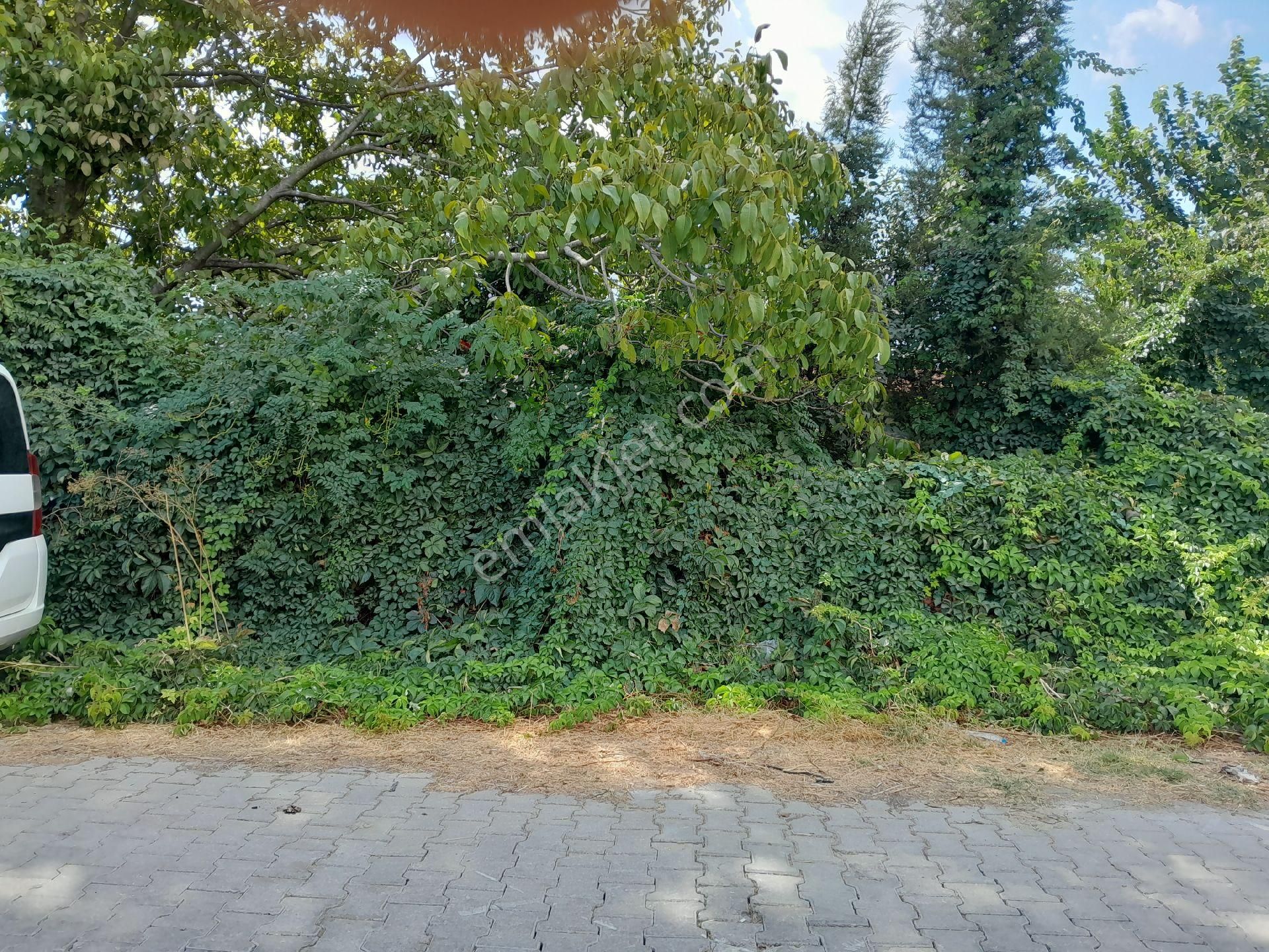 Kat Karşılığı Yada Satılık Kelepir Arsa - Görsel 2