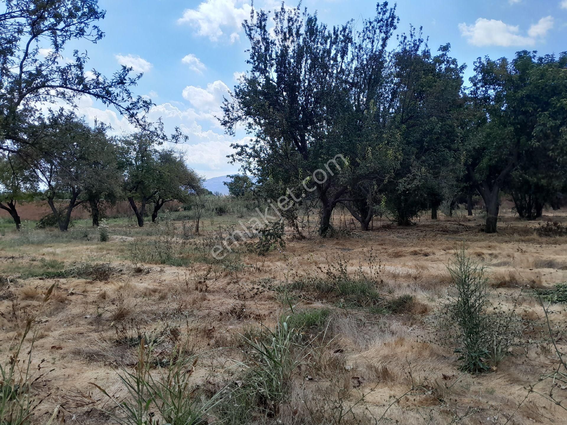 Kat Karşılığı Yada Satılık Kelepir Arsa - Görsel 12