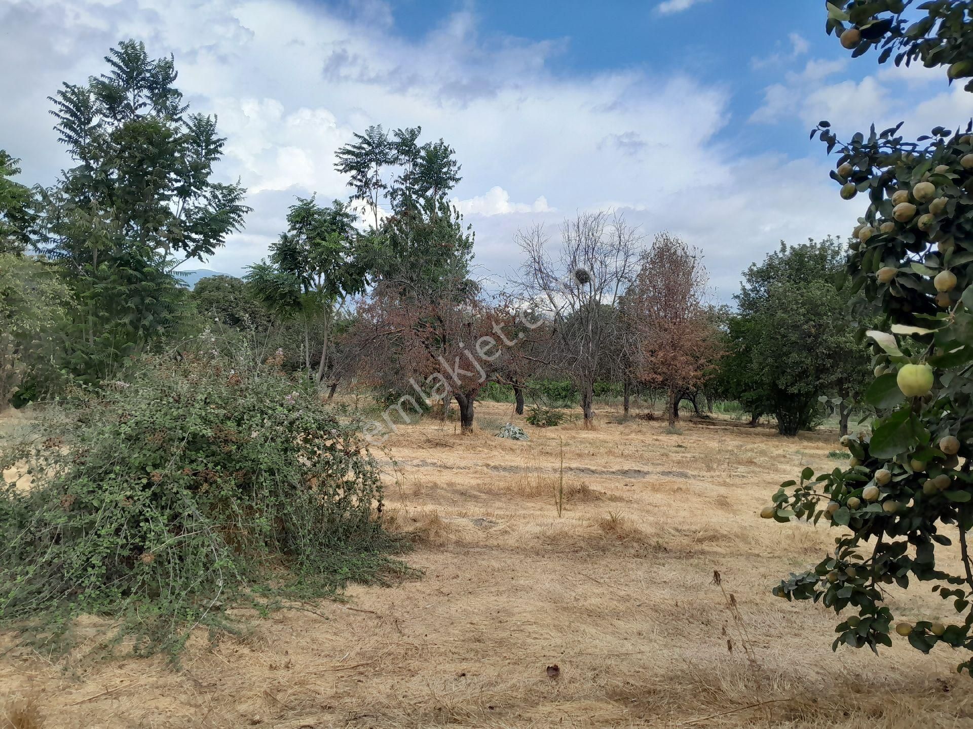 Kat Karşılığı Yada Satılık Kelepir Arsa - Görsel 14