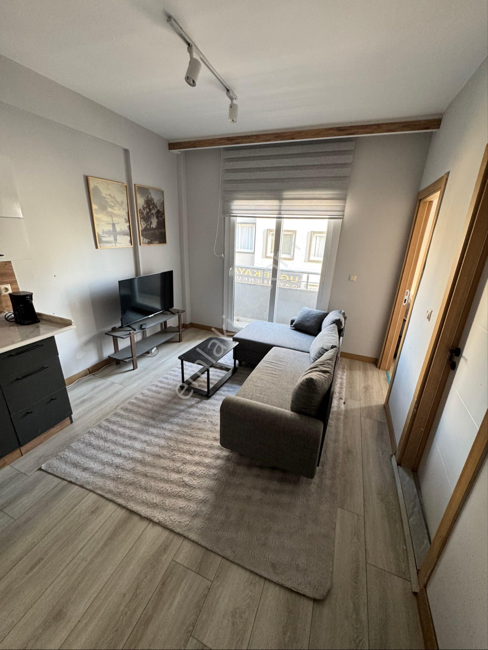 Saricam Çarkipare Mah 1+1 Eşyali Satlik - Görsel 7