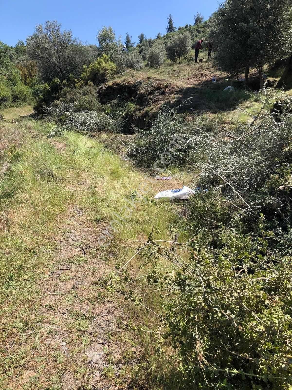Bozdoğan Kızıltepe Satılık Tarla - Görsel 2