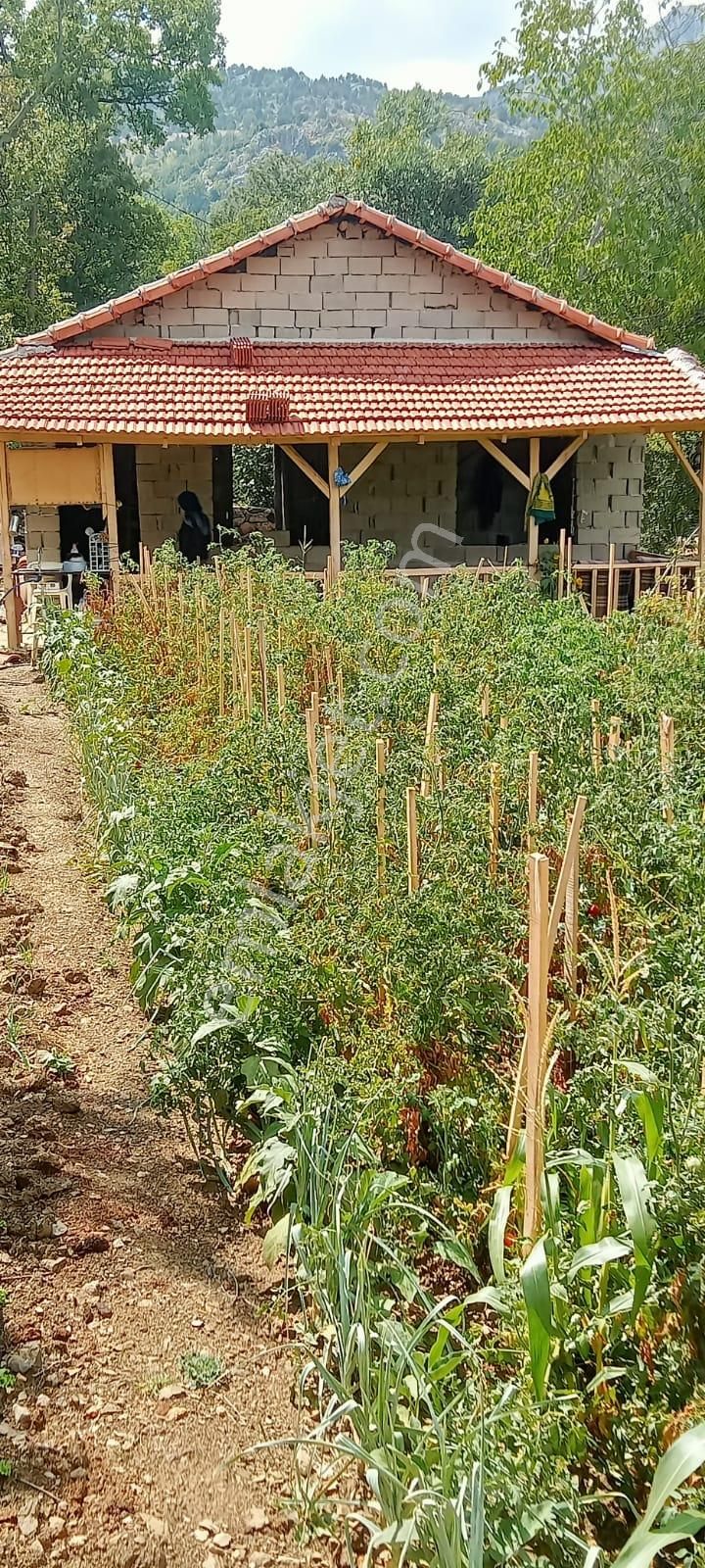 Burdur Ağlasun Yeşilbaşköy De Satılık Bağ Evi Ve Hobi Bahçemiz - Görsel 7