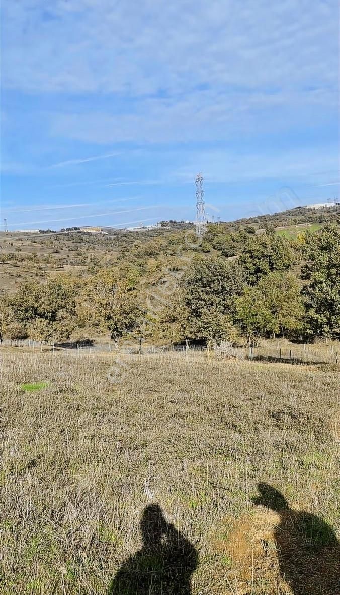 Denizli Köyü 260 M2 Tarla - Görsel 3