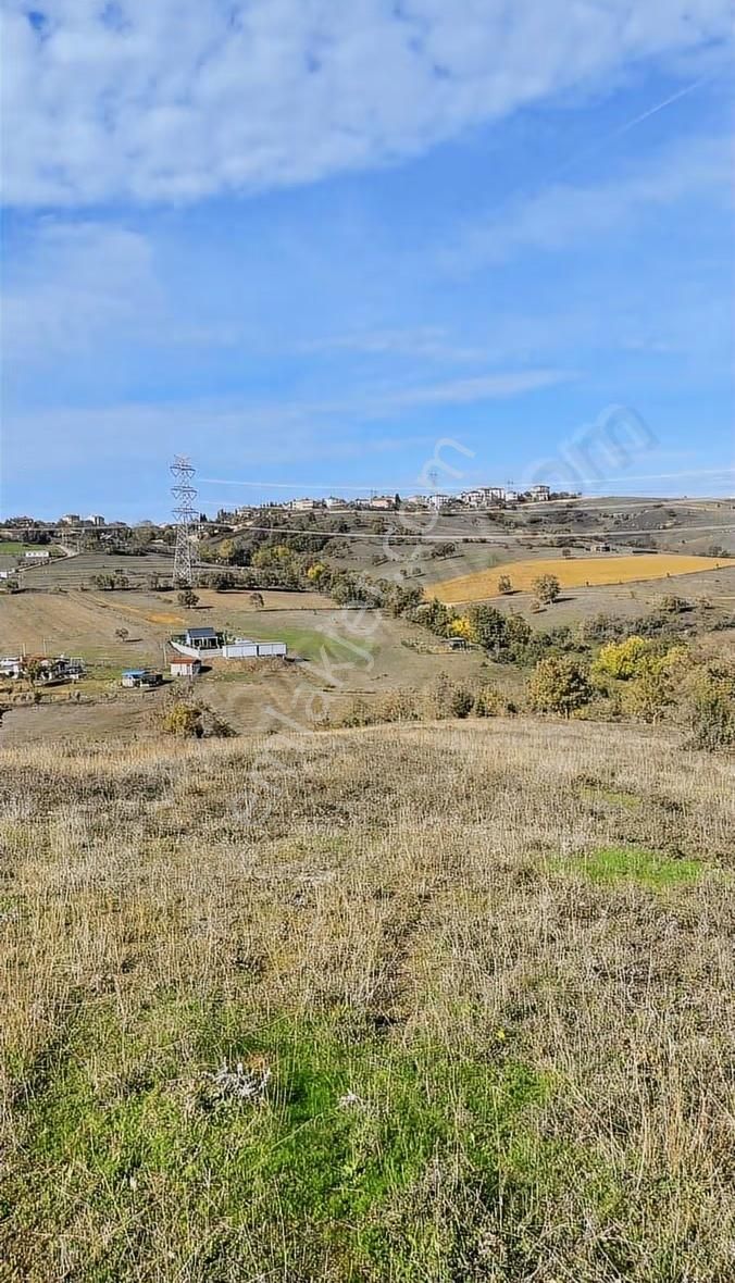Denizli Köyü 260 M2 Tarla - Görsel 2