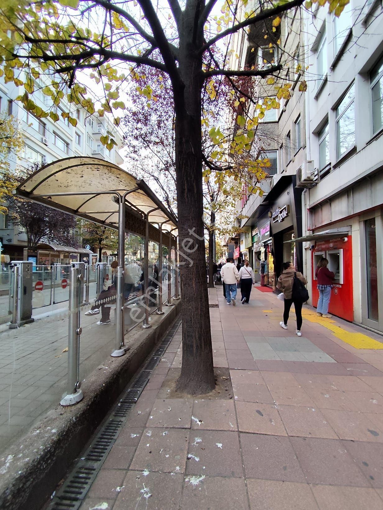 Doktorlar Caddesinde Kiralık Ofis - Görsel 2