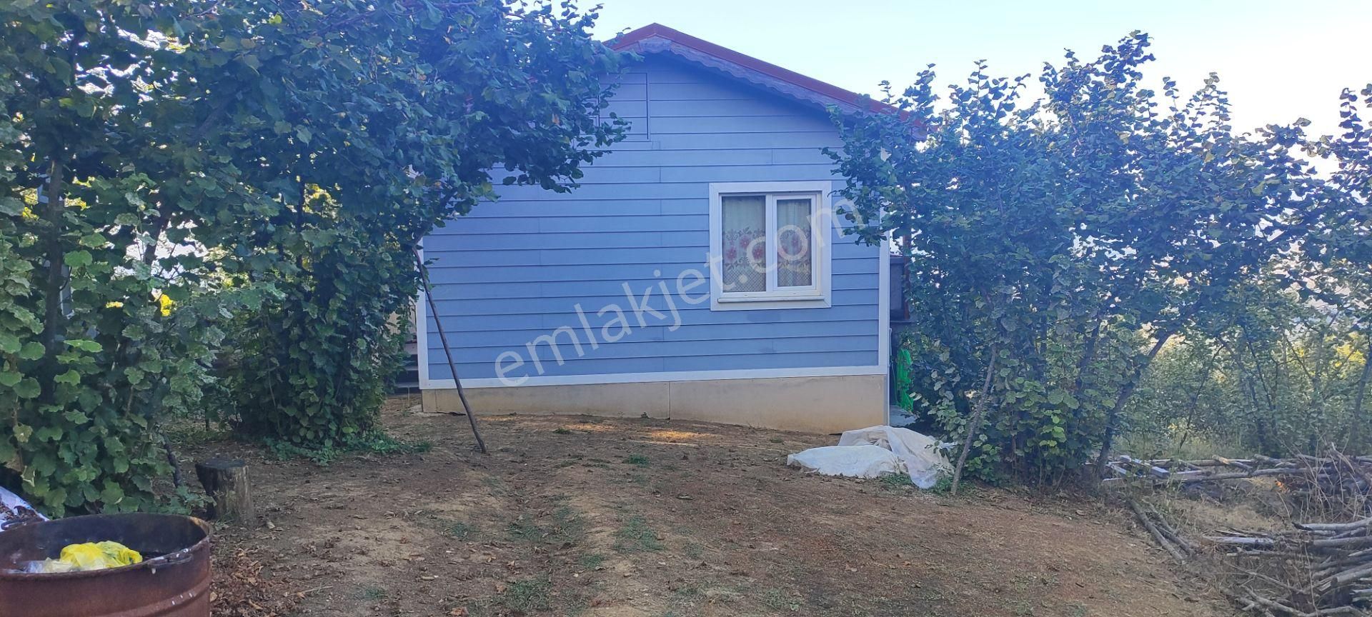 Sahibinden Satılık 5.550 M² Fındık Bahçesi Ve 1+1 Bahçe Evi - Görsel 13