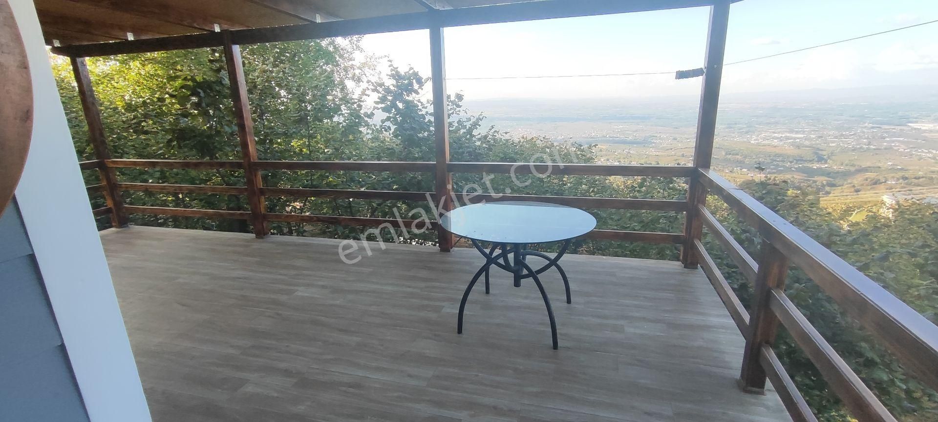 Sahibinden Satılık 5.550 M² Fındık Bahçesi Ve 1+1 Bahçe Evi - Görsel 10