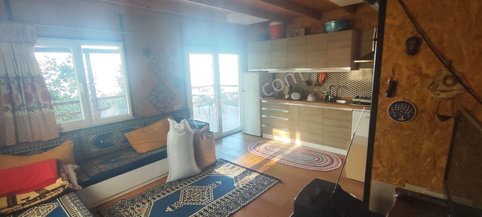 Sahibinden Satılık 5.550 M² Fındık Bahçesi Ve 1+1 Bahçe Evi - Görsel 5