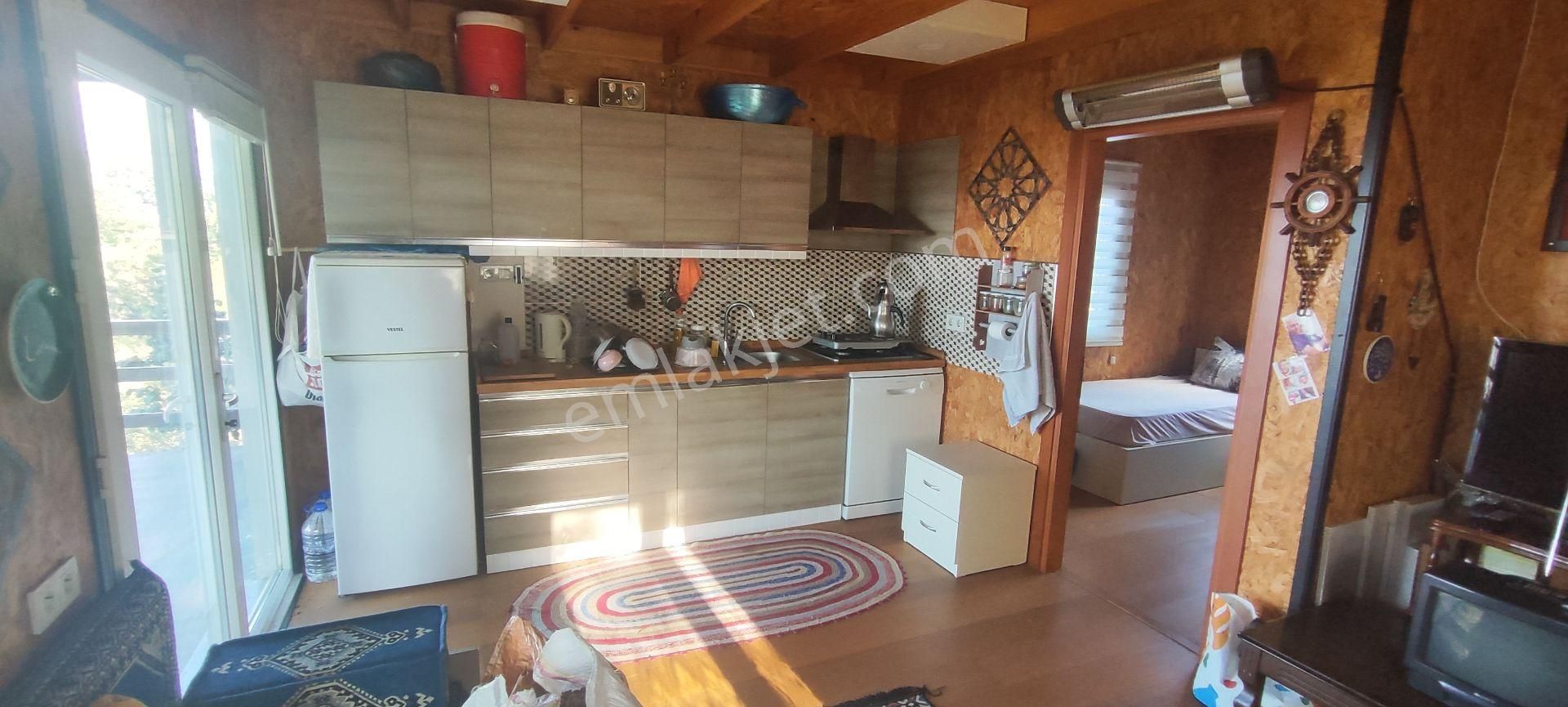 Sahibinden Satılık 5.550 M² Fındık Bahçesi Ve 1+1 Bahçe Evi - Görsel 6
