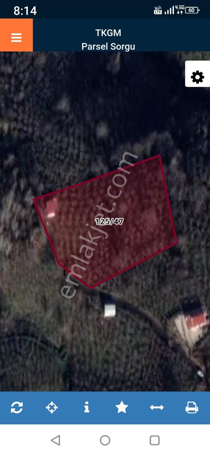 Sahibinden Satılık 5.550 M² Fındık Bahçesi Ve 1+1 Bahçe Evi - Görsel 16