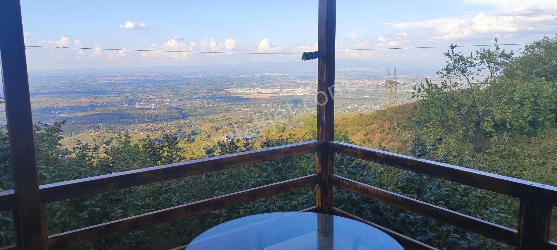 Sahibinden Satılık 5.550 M² Fındık Bahçesi Ve 1+1 Bahçe Evi - Görsel 11