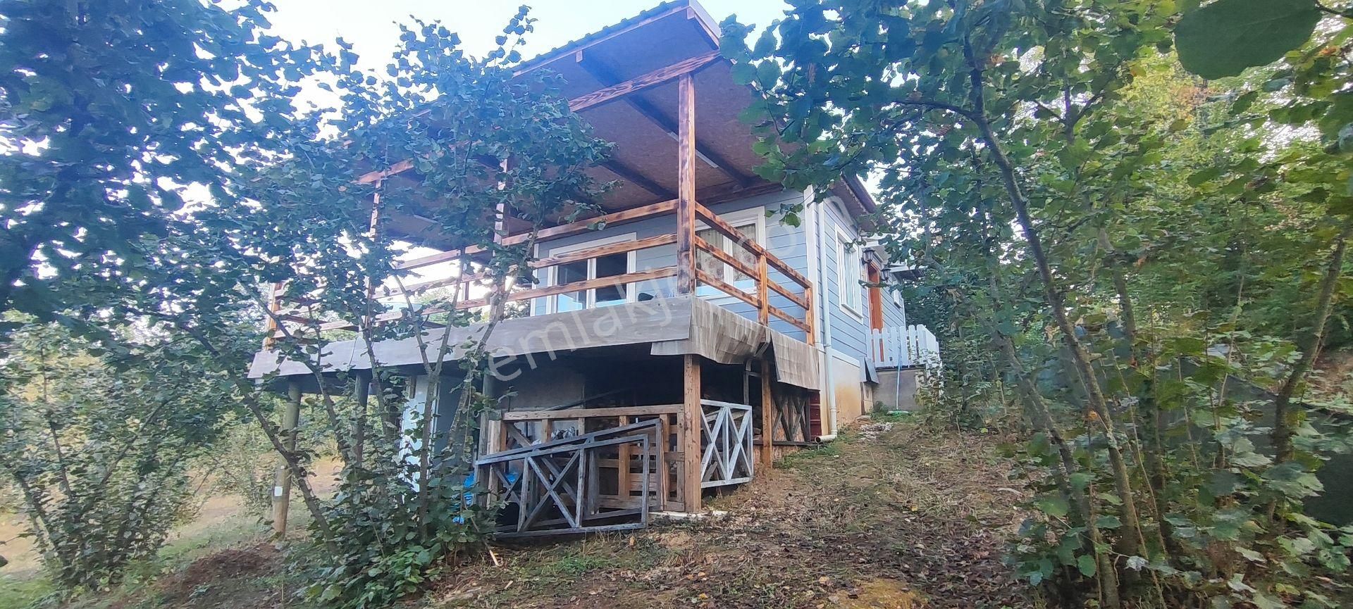 Sahibinden Satılık 5.550 M² Fındık Bahçesi Ve 1+1 Bahçe Evi