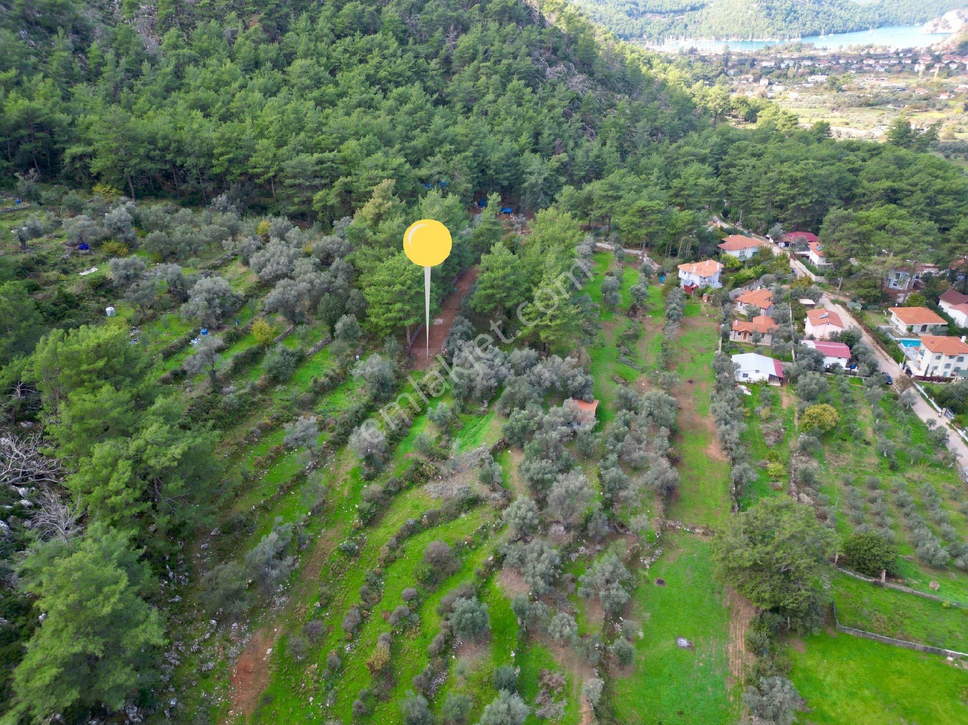 Joker: Orhaniye Kız Kumuna 2 Dakika Evlere Komşu Satılık Tarla - Görsel 5