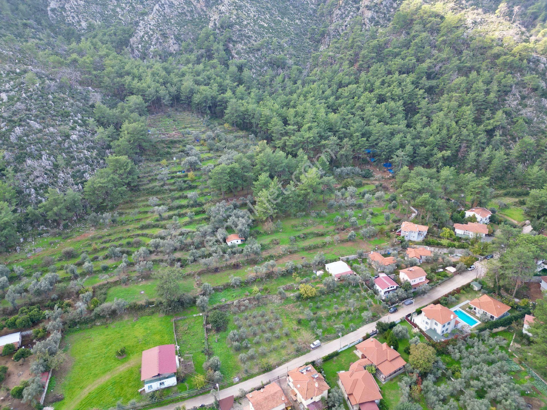 Joker: Orhaniye Kız Kumuna 2 Dakika Evlere Komşu Satılık Tarla - Görsel 19