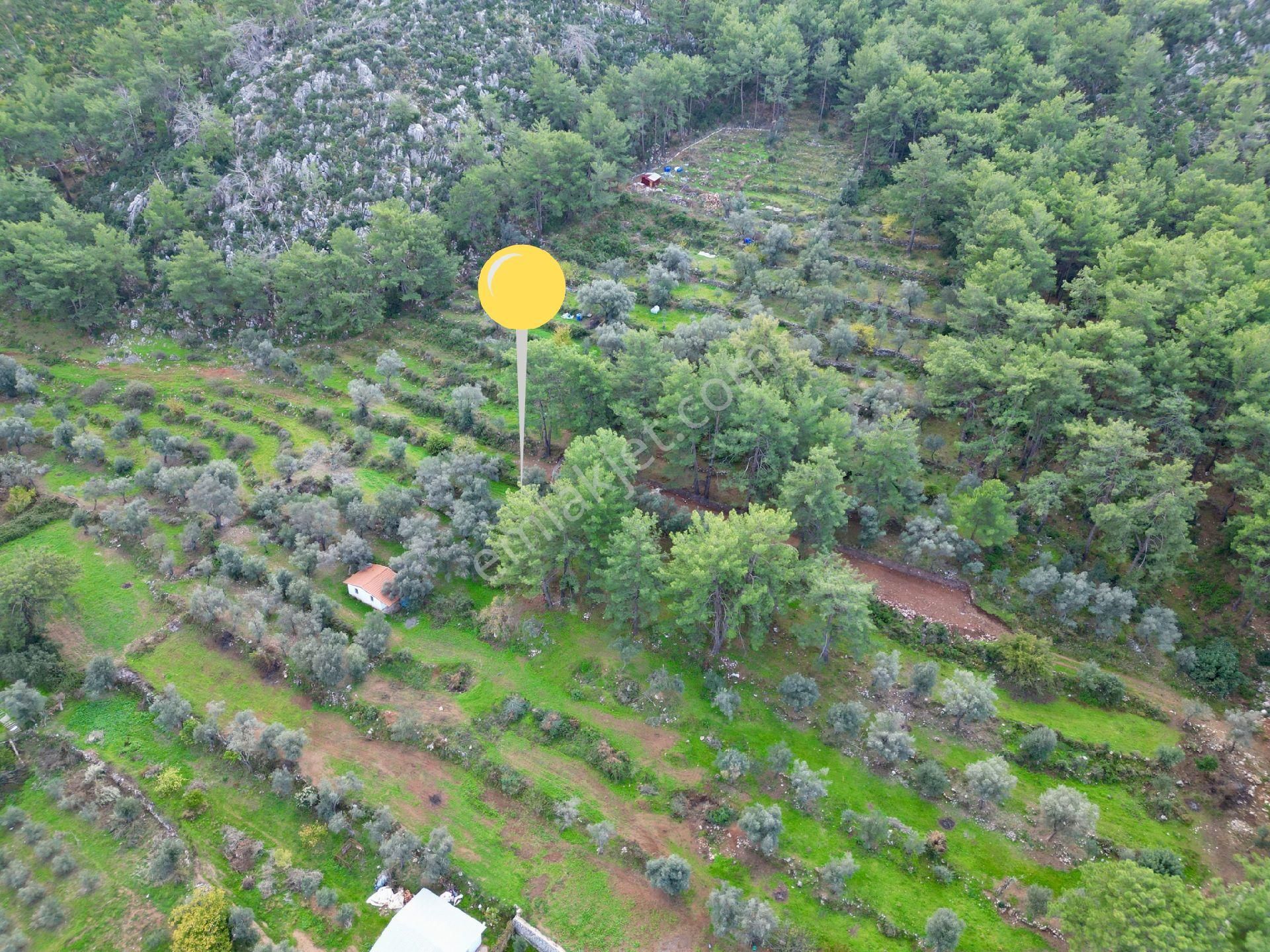 Joker: Orhaniye Kız Kumuna 2 Dakika Evlere Komşu Satılık Tarla - Görsel 9