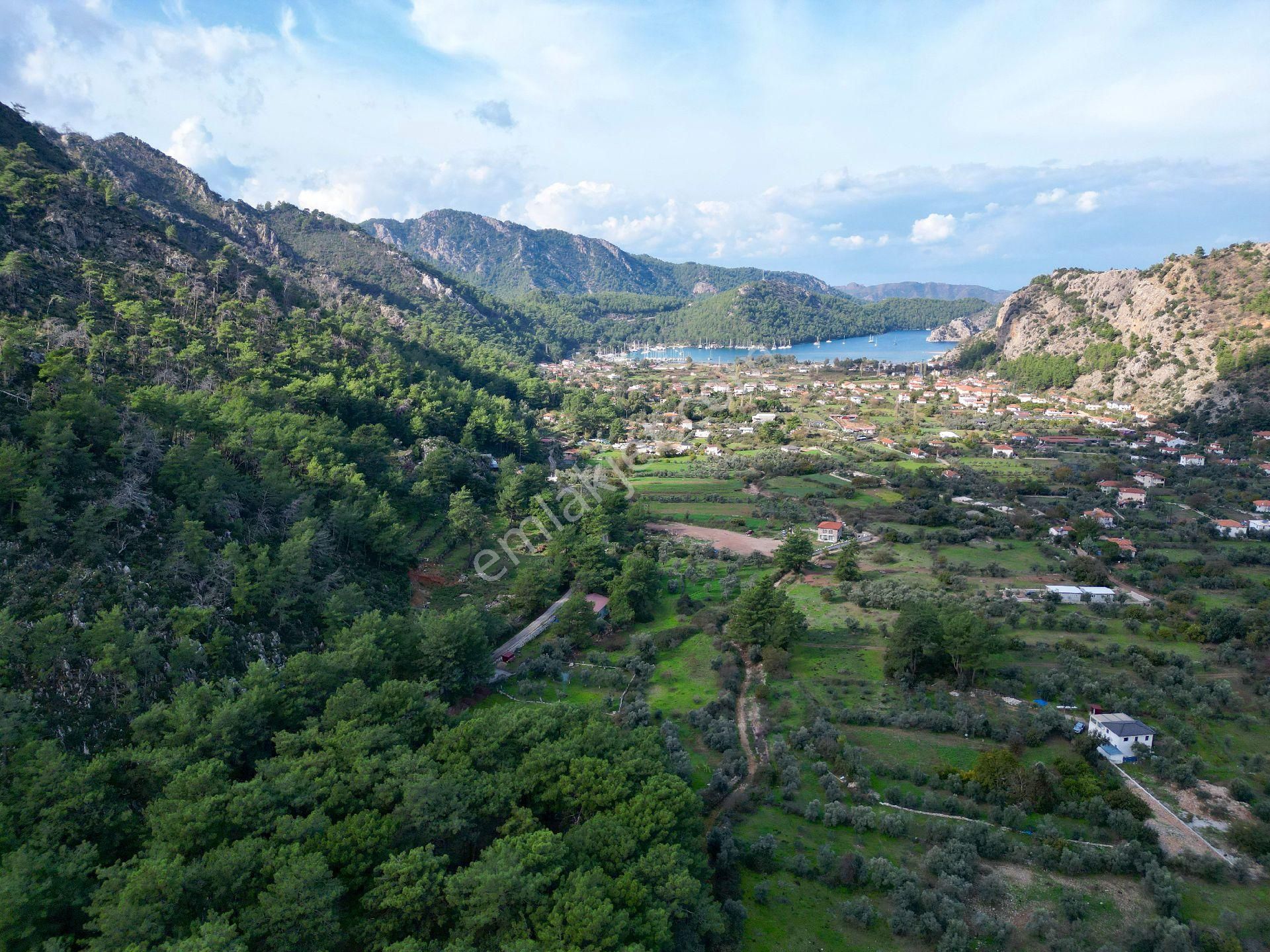 Joker: Orhaniye Kız Kumuna 2 Dakika Evlere Komşu Satılık Tarla - Görsel 21