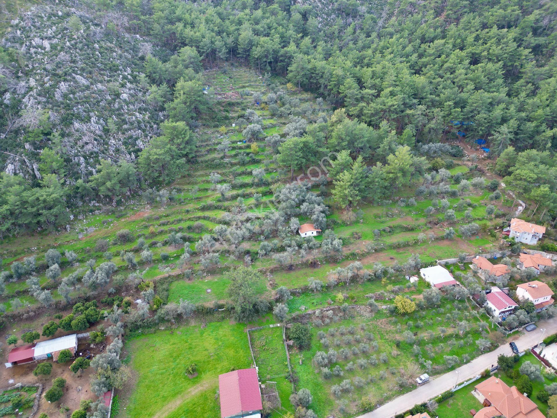 Joker: Orhaniye Kız Kumuna 2 Dakika Evlere Komşu Satılık Tarla - Görsel 20