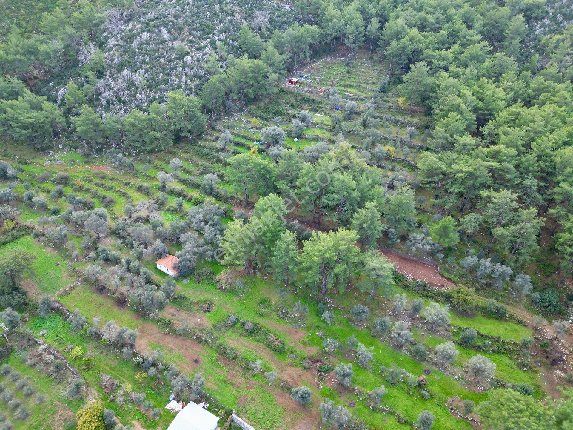 Joker: Orhaniye Kız Kumuna 2 Dakika Evlere Komşu Satılık Tarla - Görsel 18