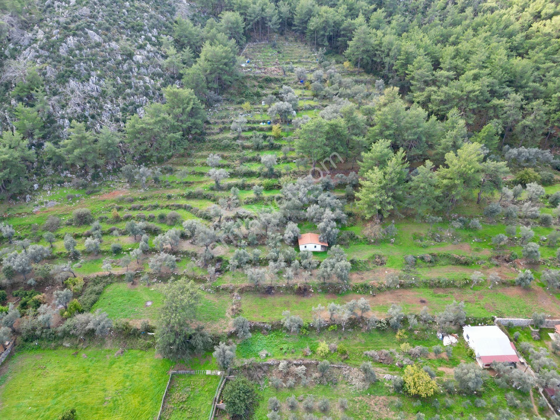 Joker: Orhaniye Kız Kumuna 2 Dakika Evlere Komşu Satılık Tarla - Görsel 17