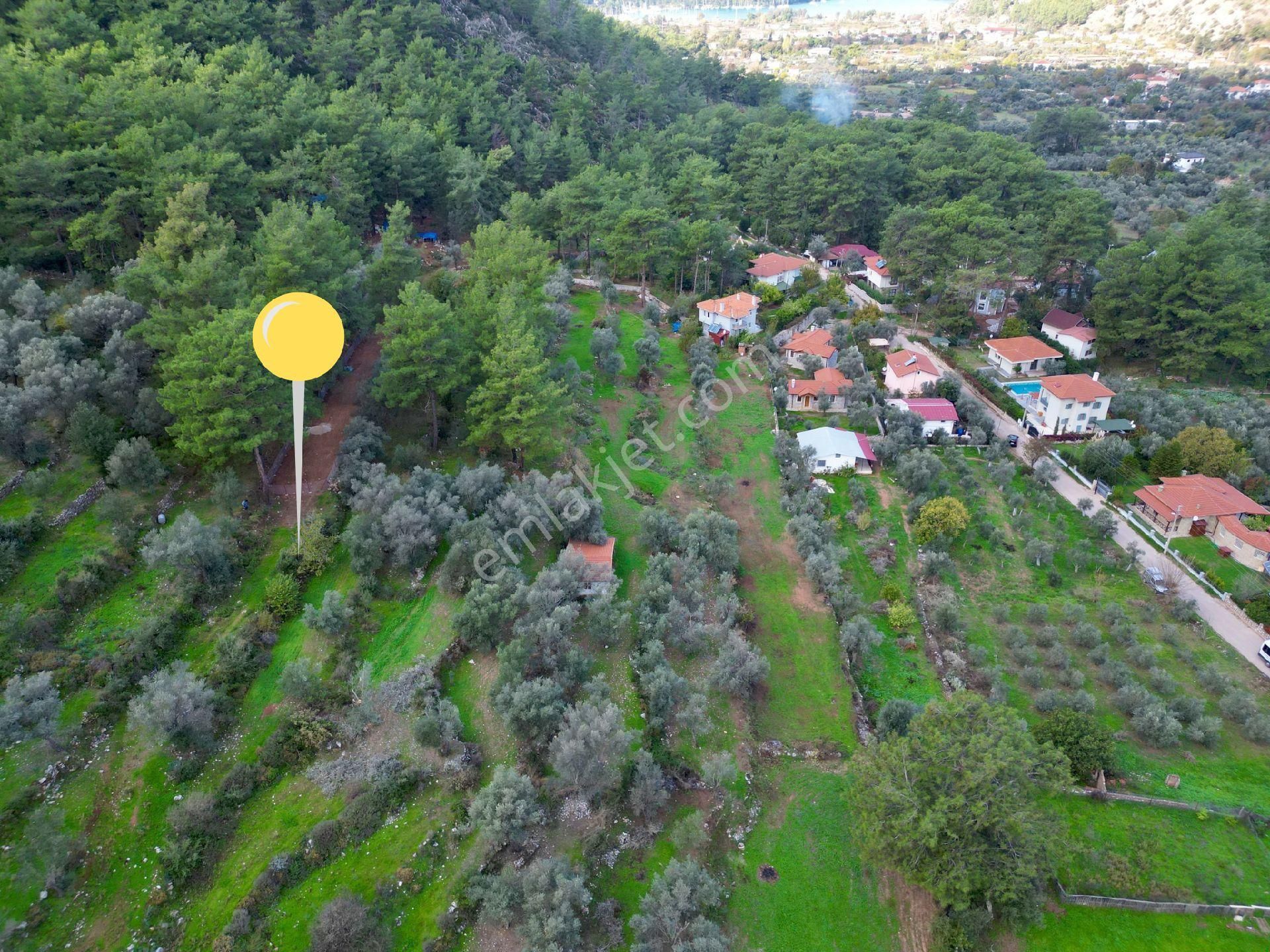 Joker: Orhaniye Kız Kumuna 2 Dakika Evlere Komşu Satılık Tarla - Görsel 3