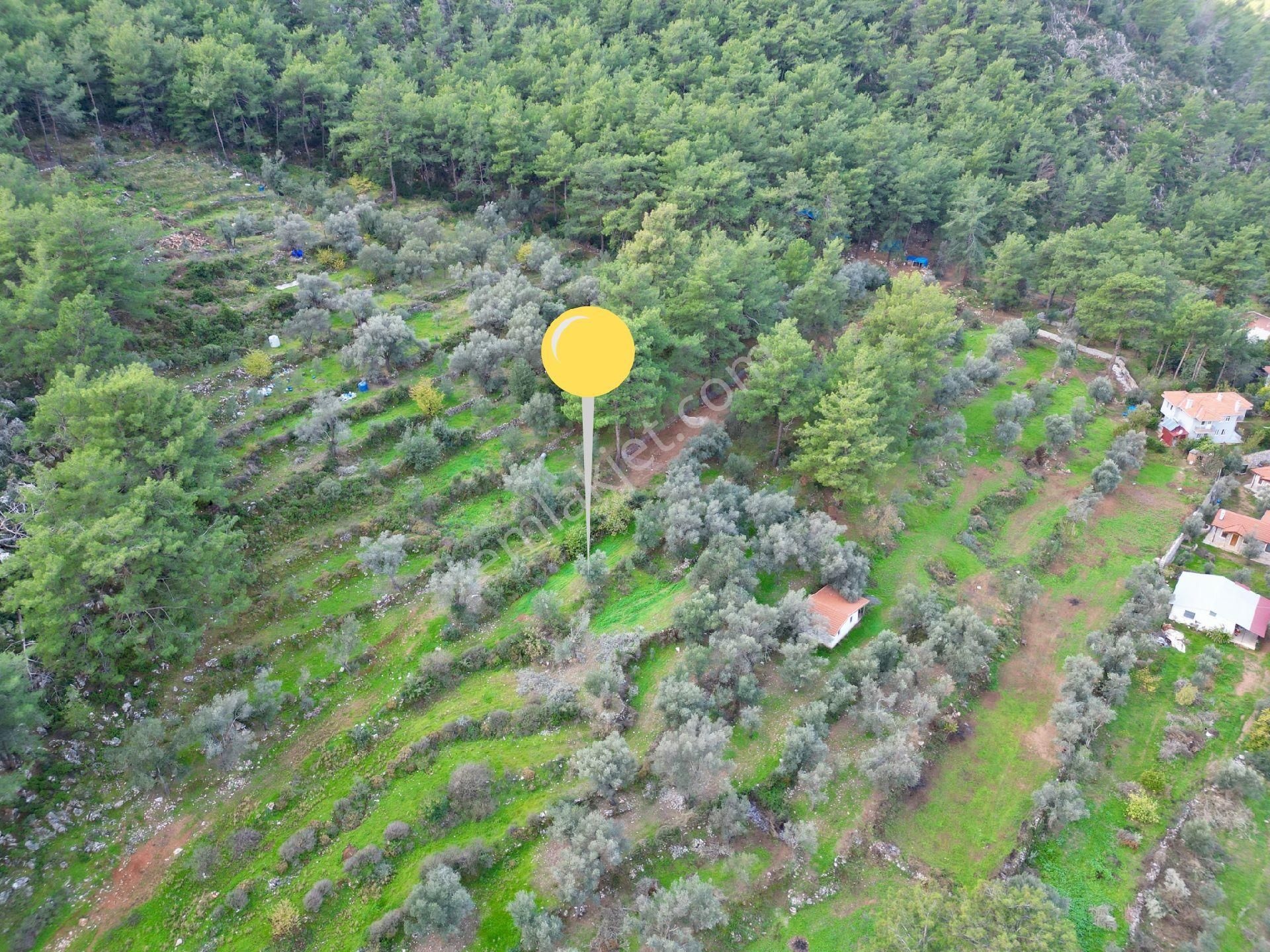 Joker: Orhaniye Kız Kumuna 2 Dakika Evlere Komşu Satılık Tarla - Görsel 2