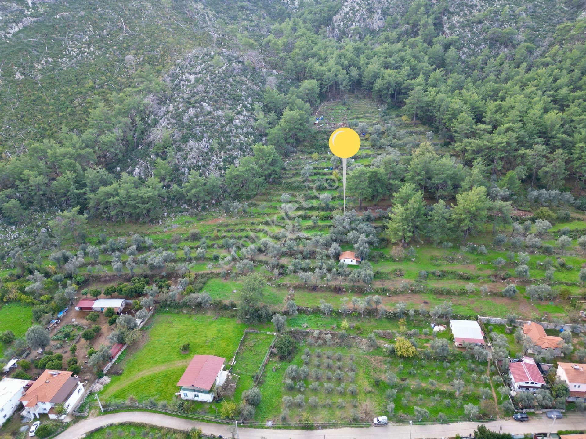 Joker: Orhaniye Kız Kumuna 2 Dakika Evlere Komşu Satılık Tarla - Görsel 12