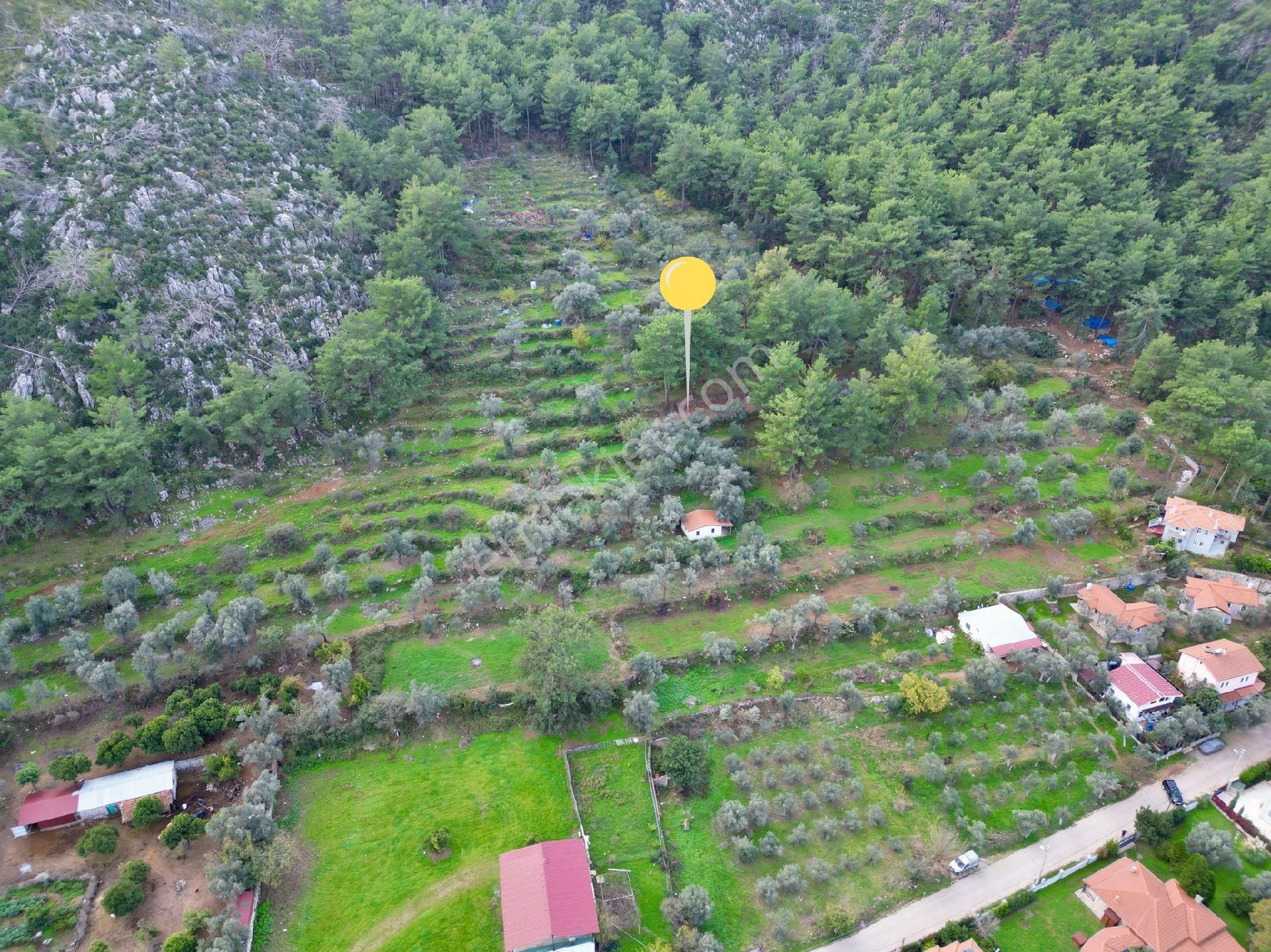 Joker: Orhaniye Kız Kumuna 2 Dakika Evlere Komşu Satılık Tarla - Görsel 7