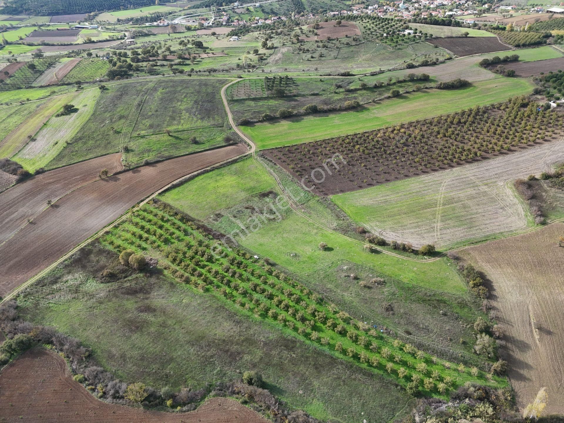 Rookz Balşehir Den Balıkesir Kepsut Recepköyde Satılık Tarla - Görsel 13