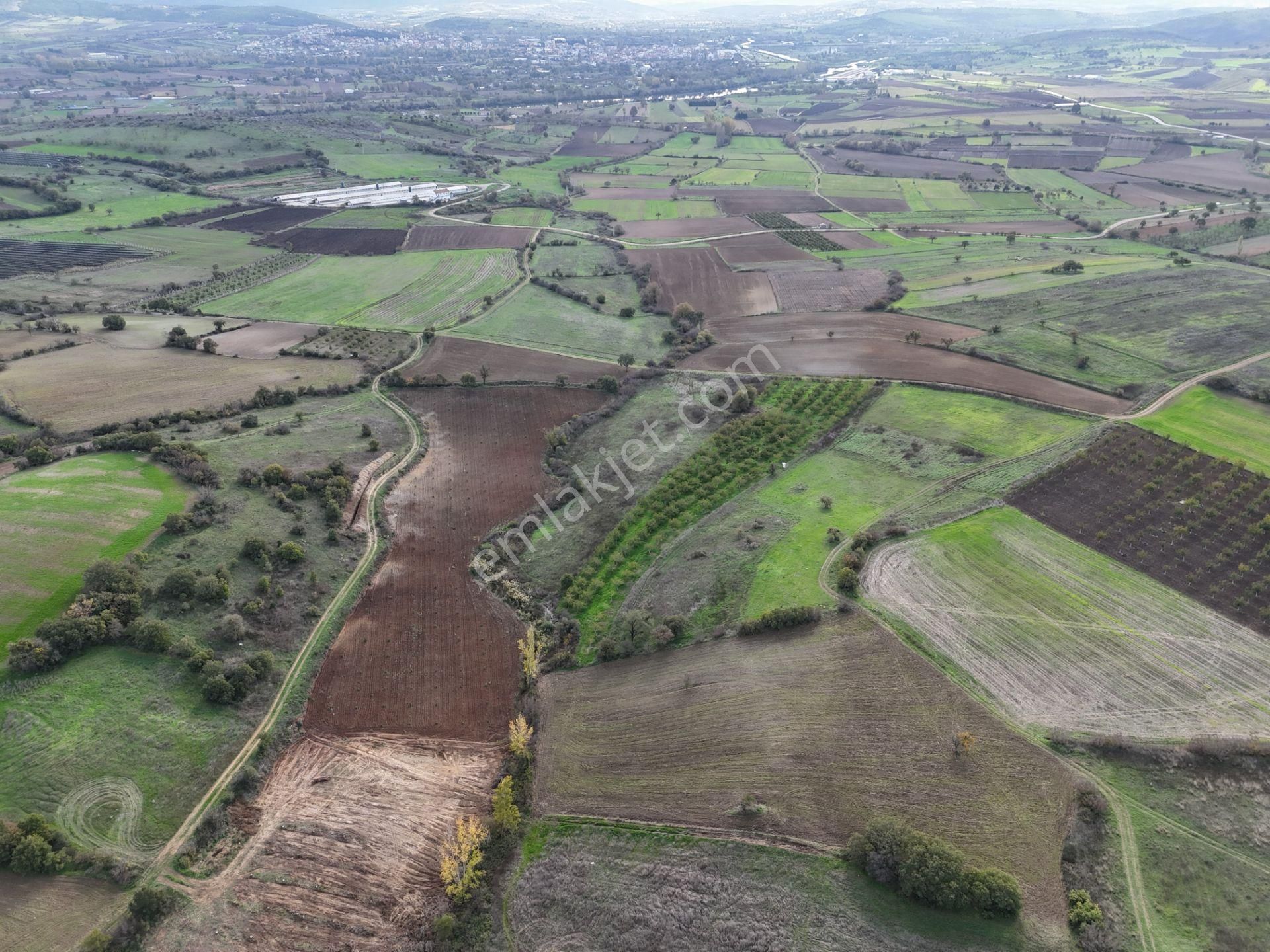 Rookz Balşehir Den Balıkesir Kepsut Recepköyde Satılık Tarla - Görsel 20