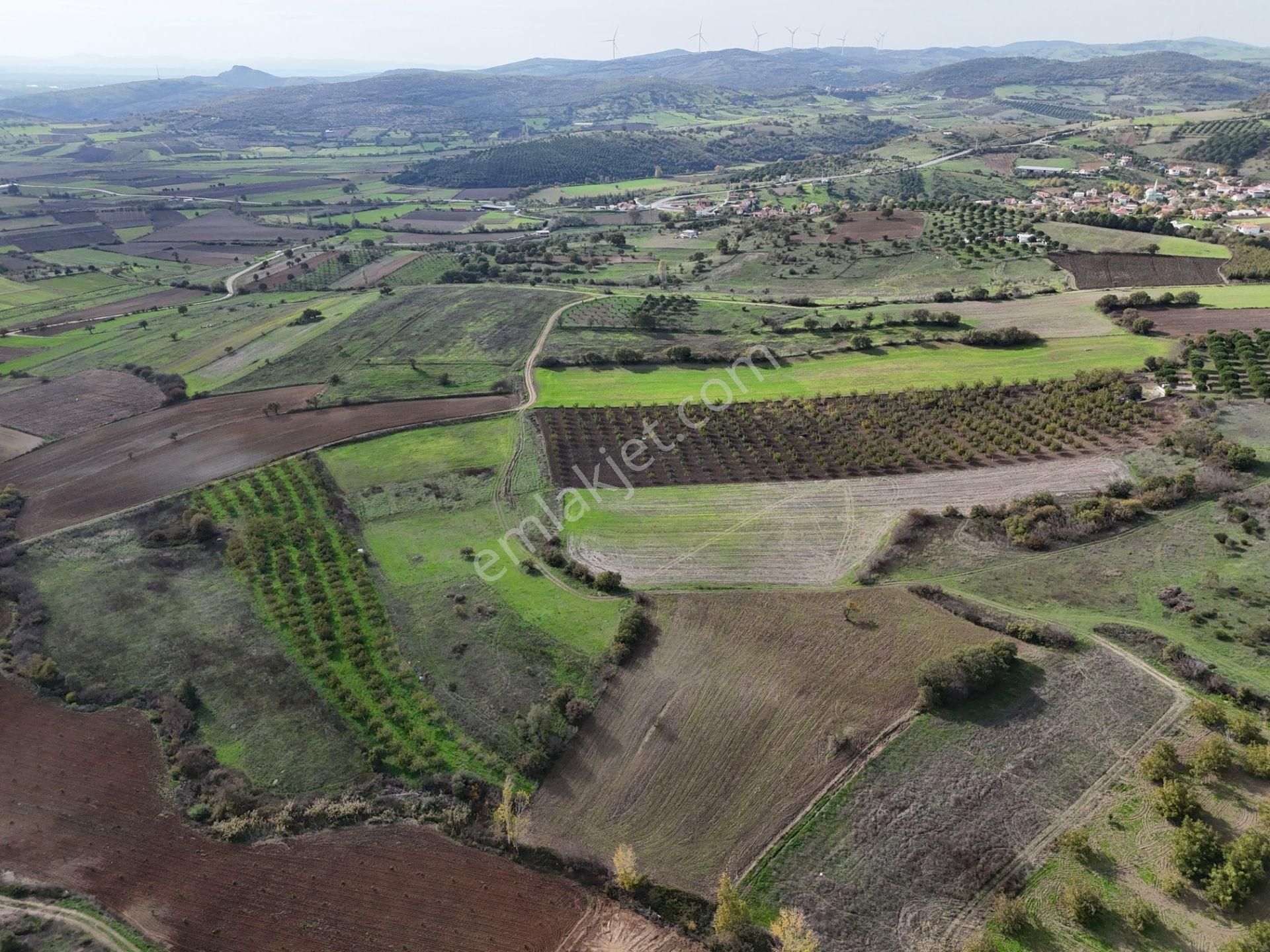 Rookz Balşehir Den Balıkesir Kepsut Recepköyde Satılık Tarla - Görsel 4