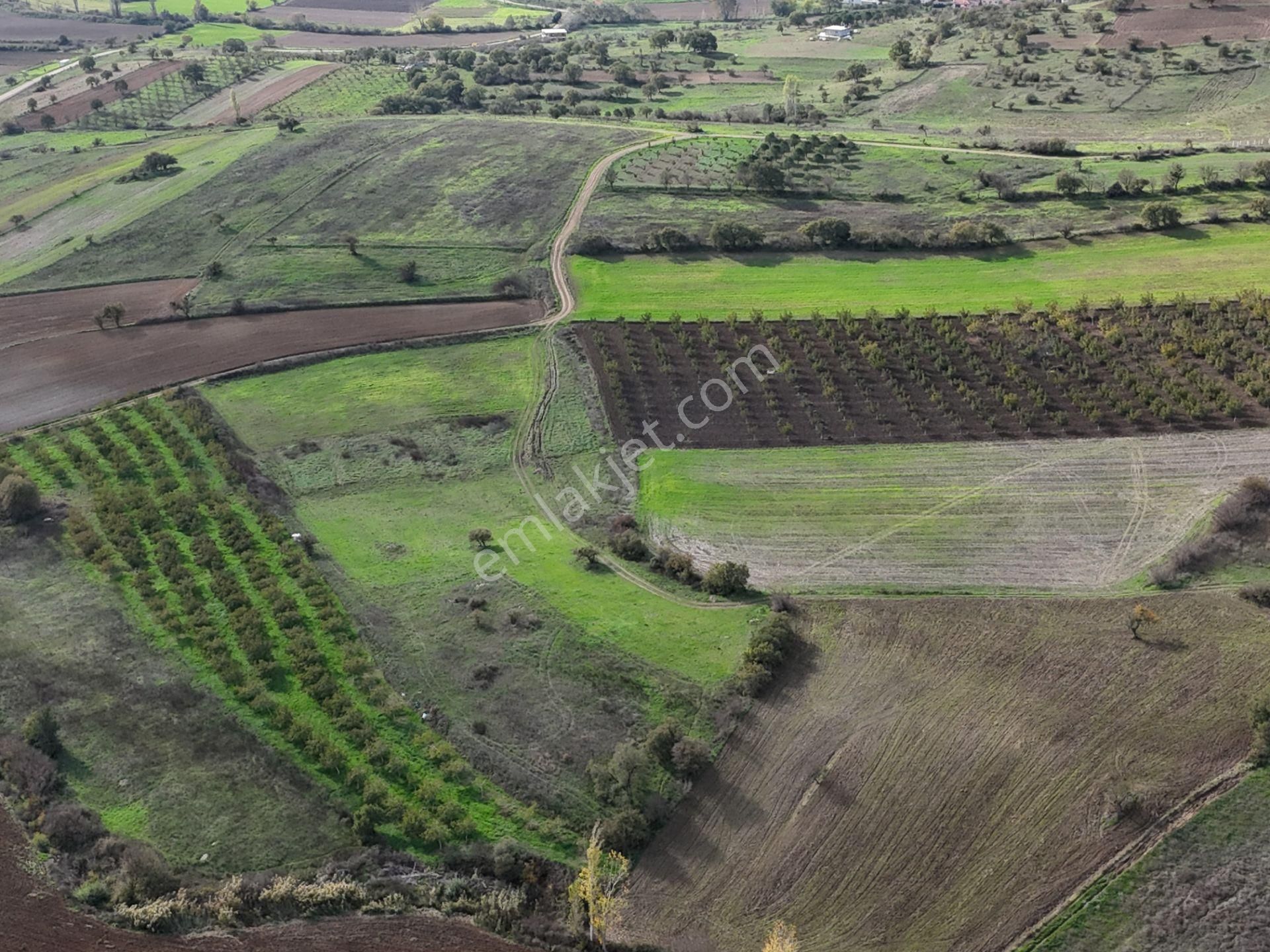 Rookz Balşehir Den Balıkesir Kepsut Recepköyde Satılık Tarla - Görsel 24