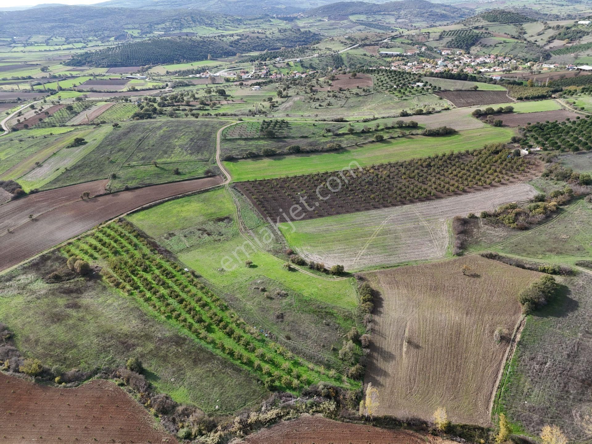 Rookz Balşehir Den Balıkesir Kepsut Recepköyde Satılık Tarla - Görsel 11