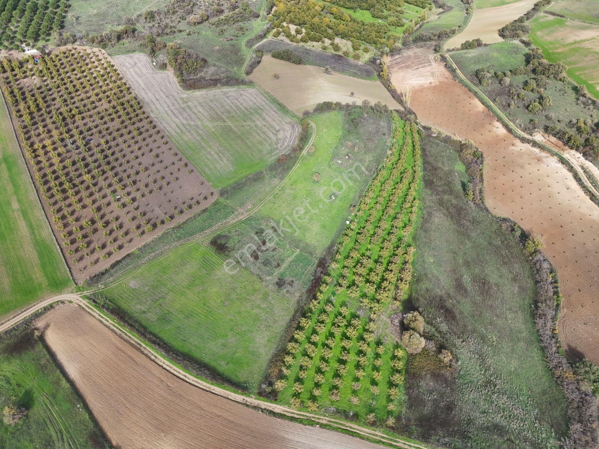 Rookz Balşehir Den Balıkesir Kepsut Recepköyde Satılık Tarla - Görsel 16