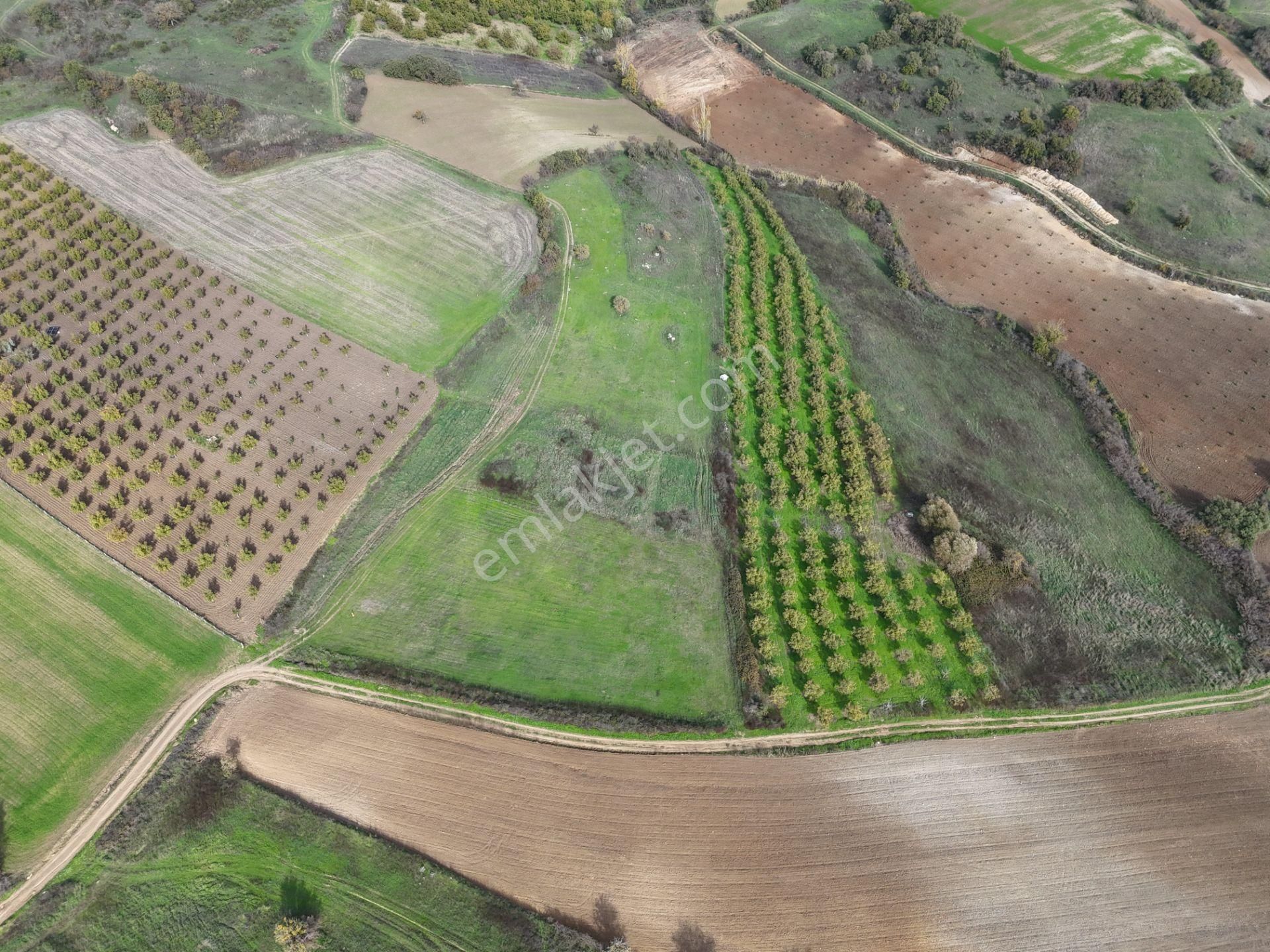 Rookz Balşehir Den Balıkesir Kepsut Recepköyde Satılık Tarla - Görsel 18