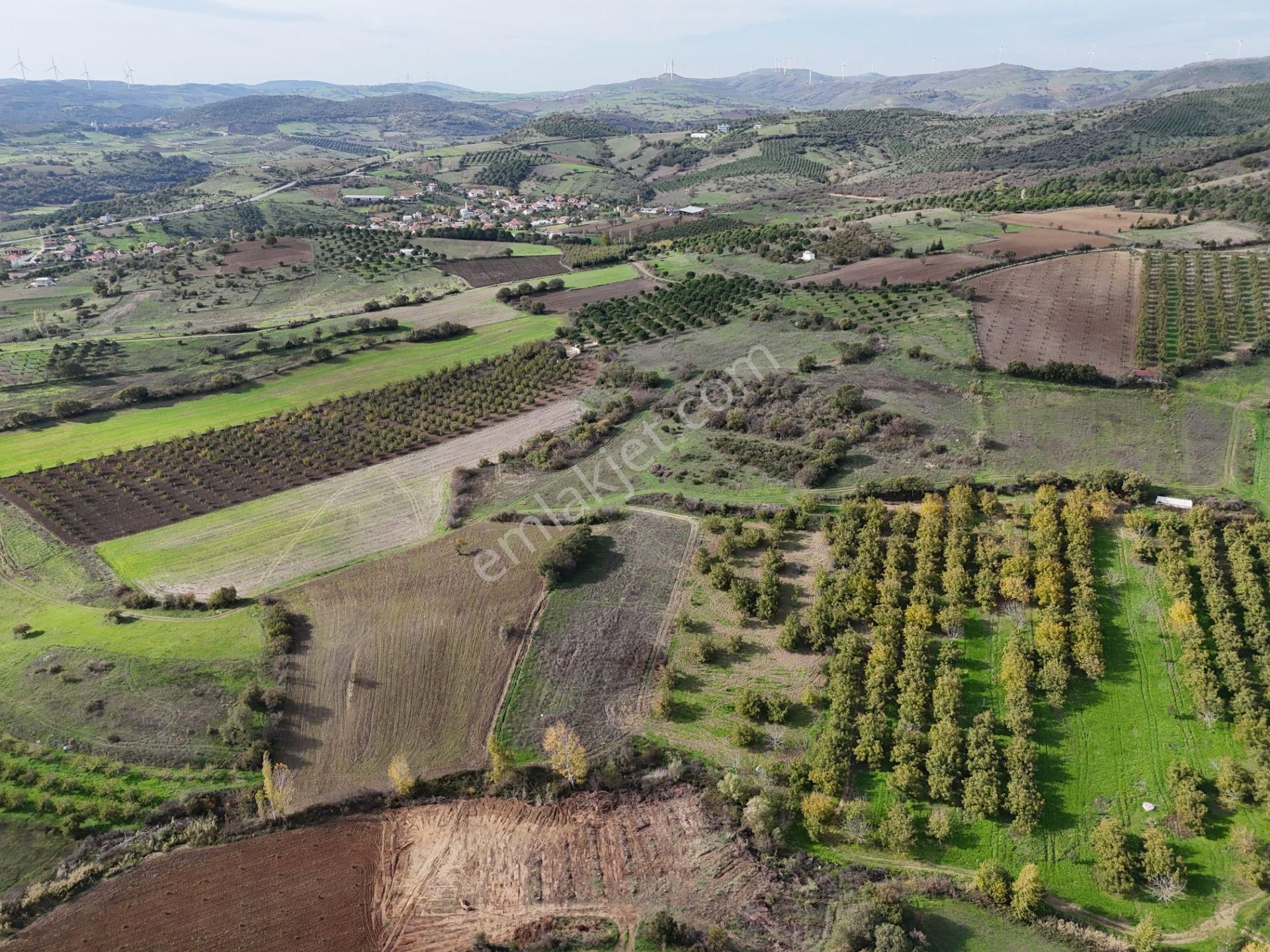 Rookz Balşehir Den Balıkesir Kepsut Recepköyde Satılık Tarla - Görsel 9