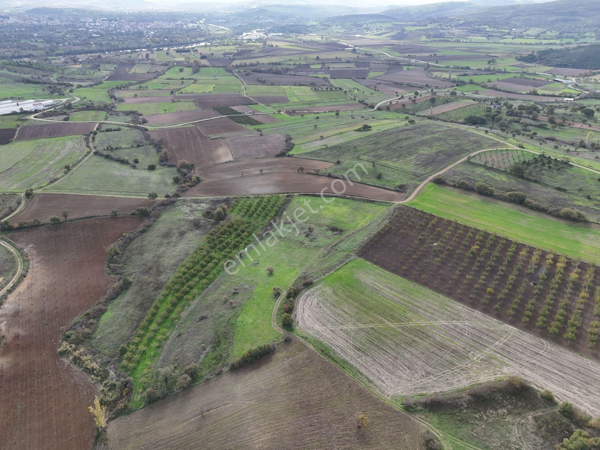 Rookz Balşehir Den Balıkesir Kepsut Recepköyde Satılık Tarla - Görsel 28