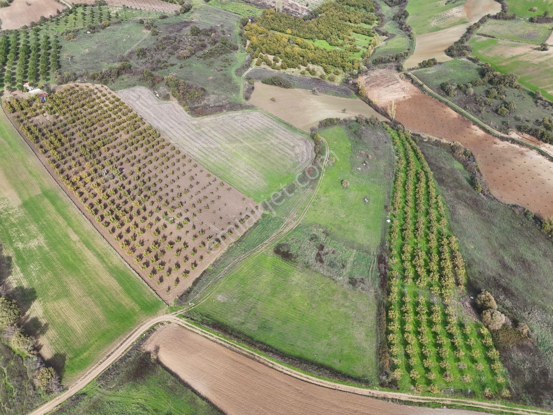 Rookz Balşehir Den Balıkesir Kepsut Recepköyde Satılık Tarla - Görsel 17