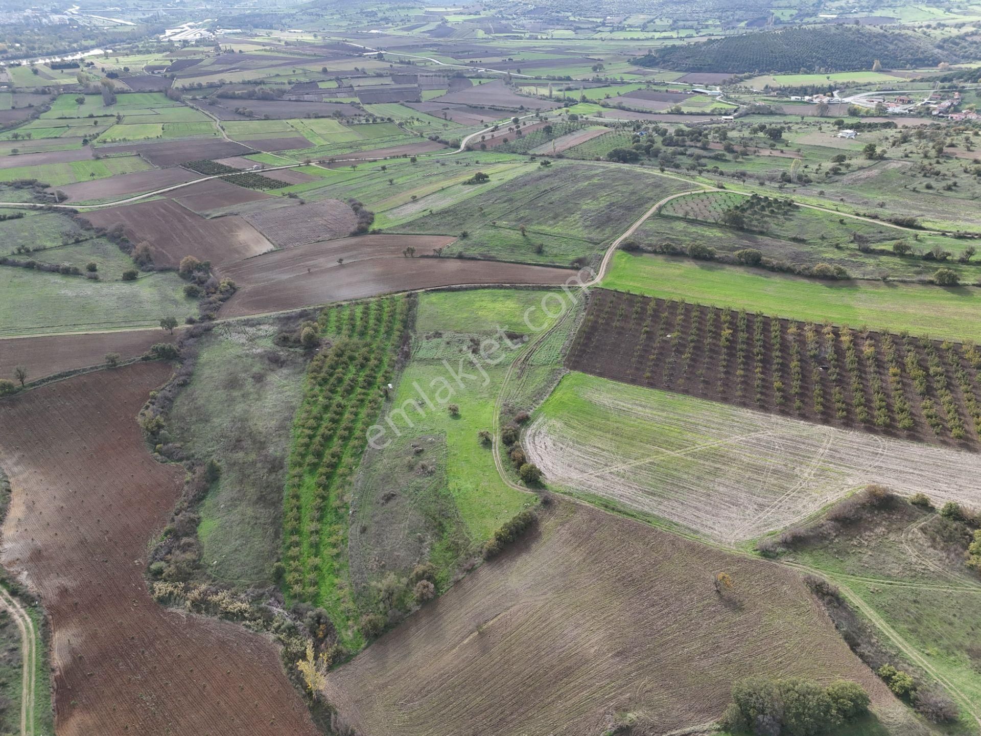 Rookz Balşehir Den Balıkesir Kepsut Recepköyde Satılık Tarla - Görsel 2